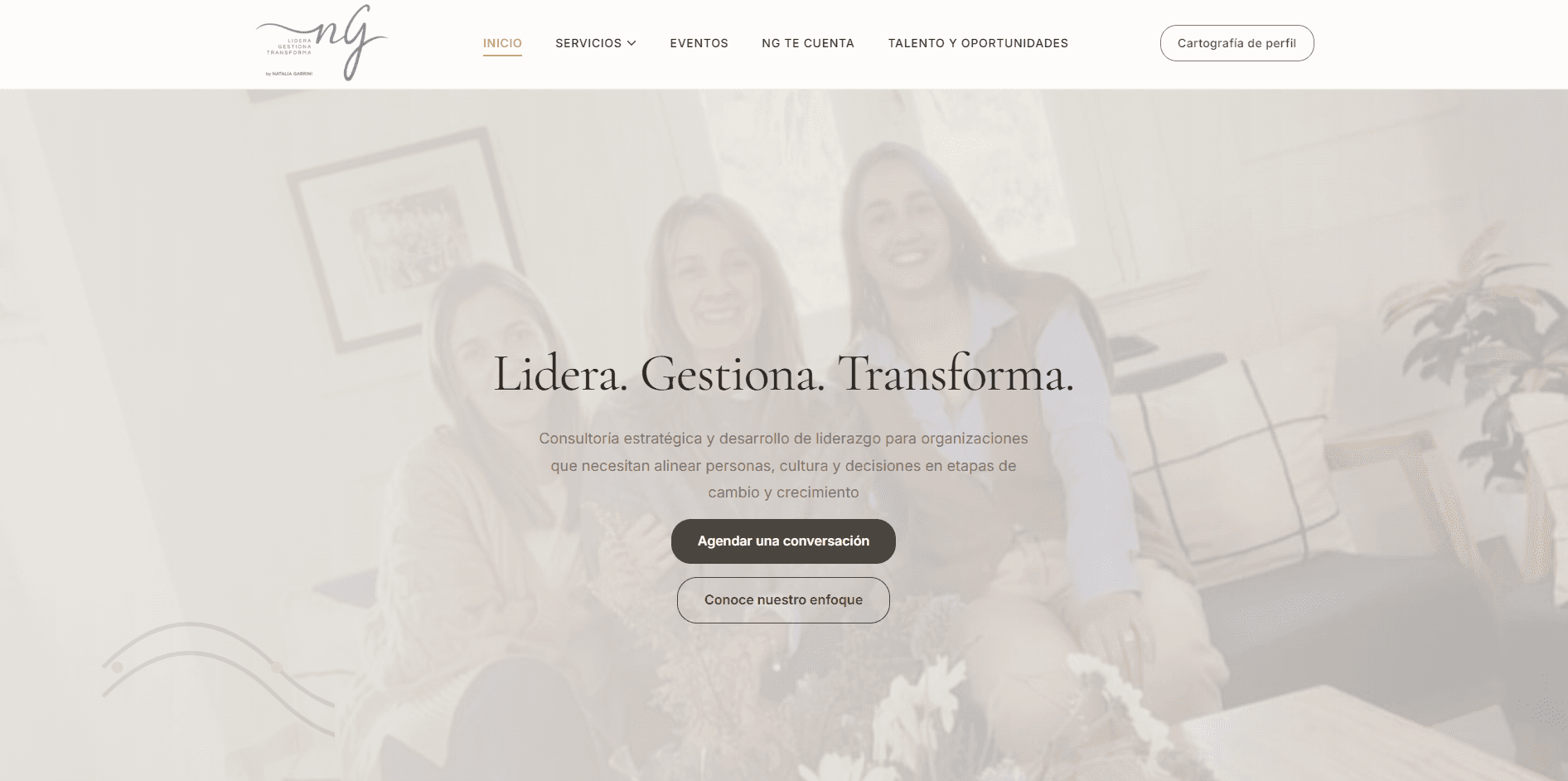 Portada del sitio de NG Consultora.